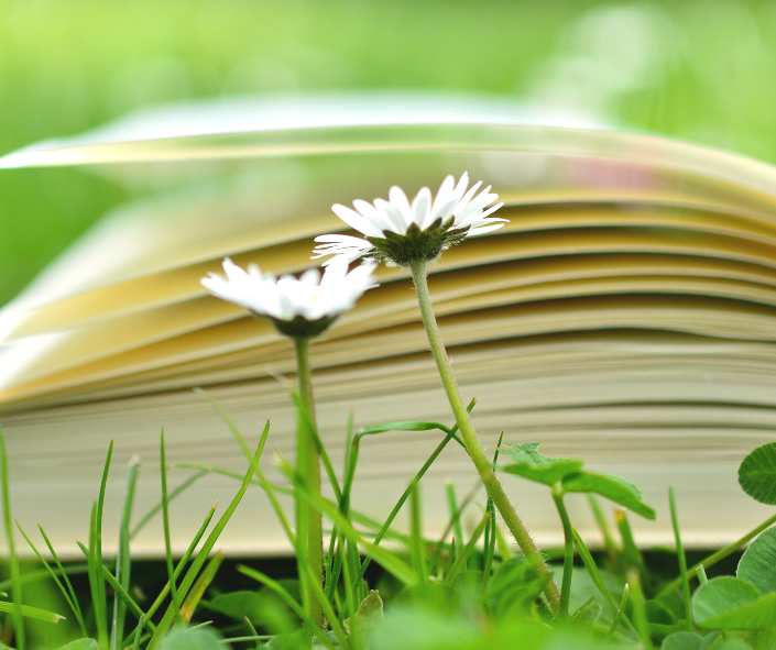 improve your English with books