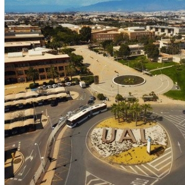 lecturing in English